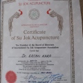 Resmi büyüt: certificate 2