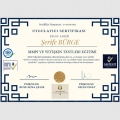 Resmi büyüt: certificate 6