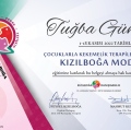Resmi büyüt: certificate 1
