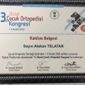 Resmi büyüt: certificate 9