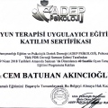 Resmi büyüt: certificate 9