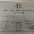 Resmi büyüt: certificate 3