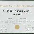 Resmi büyüt: certificate 28