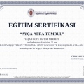 Resmi büyüt: certificate 1