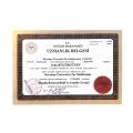 Resmi büyüt: certificate 6