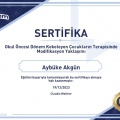 Resmi büyüt: certificate 17
