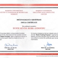 Resmi büyüt: certificate 16