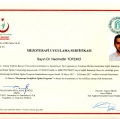 Resmi büyüt: certificate 15