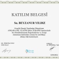 Resmi büyüt: certificate 11