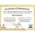 Resmi büyüt: certificate 6