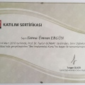 Resmi büyüt: certificate 5