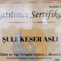 Resmi büyüt: certificate 11