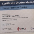 Resmi büyüt: certificate 3