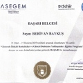 Resmi büyüt: certificate 3
