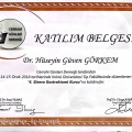 Resmi büyüt: certificate 15
