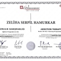 Resmi büyüt: certificate 2