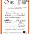 Resmi büyüt: certificate 28