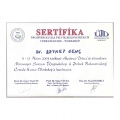 Resmi büyüt: certificate 29