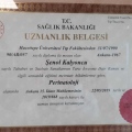 Resmi büyüt: certificate 2