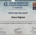Resmi büyüt: certificate 3
