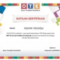 Resmi büyüt: certificate 11
