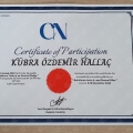 Resmi büyüt: certificate 4