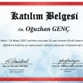 Resmi büyüt: certificate 6