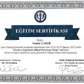 Resmi büyüt: certificate 13