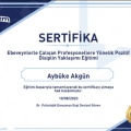 Resmi büyüt: certificate 10