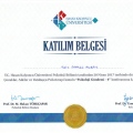 Resmi büyüt: certificate 13