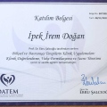 Resmi büyüt: certificate 9