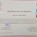 Resmi büyüt: certificate 6