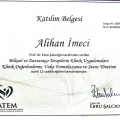 Resmi büyüt: certificate 1