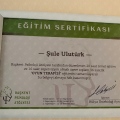 Resmi büyüt: certificate 9