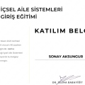 Resmi büyüt: certificate 9