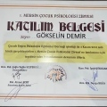 Resmi büyüt: certificate 24