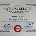 Resmi büyüt: certificate 34
