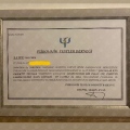 Resmi büyüt: certificate 9