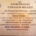 Resmi büyüt: certificate 1