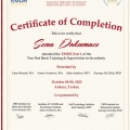 Resmi büyüt: certificate 10