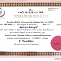 Resmi büyüt: certificate 4