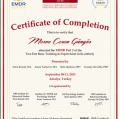 Resmi büyüt: certificate 7