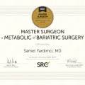 Resmi büyüt: certificate 1