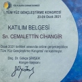 Resmi büyüt: certificate 17