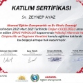 Resmi büyüt: certificate 12
