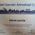 Resmi büyüt: certificate 4