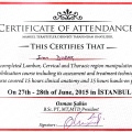 Resmi büyüt: certificate 10
