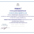 Resmi büyüt: certificate 12