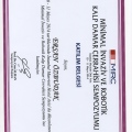 Resmi büyüt: certificate 8