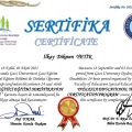 Resmi büyüt: certificate 1